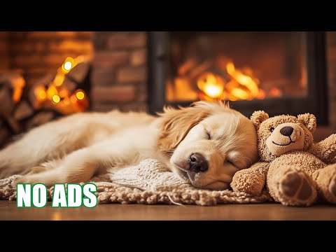 12 Hours Deep Sleep Music for Dogs 🐶 Anti Separation Anxiety Relief 🎵 Healing Dog Music 💖 No Ads