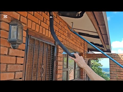 HOW MANY Black Mambas are ACTUALLY in this roof !!??