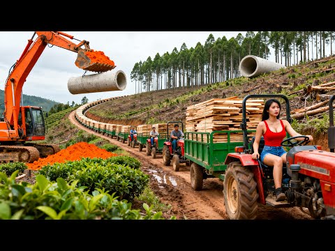 Use Truck to Transport 1000+ Giant Plywood from The Lumber Mill, Transport Many Sewer Pipes