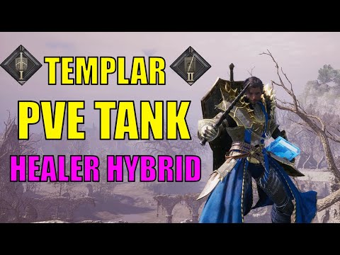 Tank healer: Sword &amp; Shield and Wand PVE build | Throne and Liberty