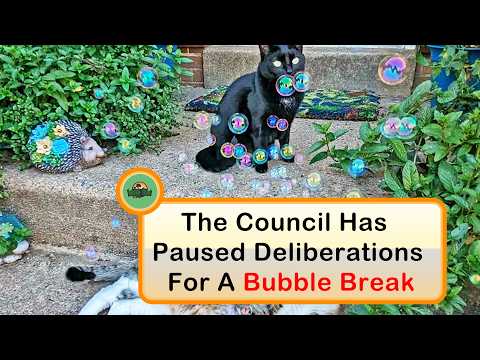 Suspicious Cat Pics That Look Like They’re Up to Something