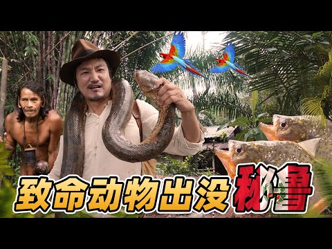 第314集 致命動物出沒！闖入秘魯亞馬遜源頭的“世外桃源”｜冒險雷探長Lei's adventure