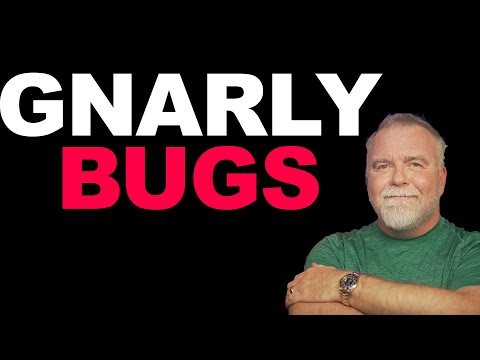 Gnarly Bugs!  Two of the HARDEST Bugs I've Ever Fixed!  ShopTalk!