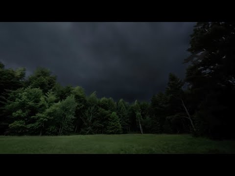 Forest Thunderstorm | Lost in the Woods | Calm Before the Storm | 3 HOURS