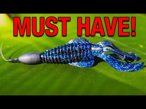 I NEVER go Florida Bass Fishing Without This Texas Rig Setup!