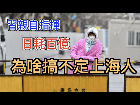 習亲自指挥, 每天損失100亿, 還是搞不定上海人!! 為何上海清零與眾不同? 漫談上海人為啥難搞定？