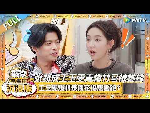 EP91超长沉浸版：张新成王玉雯青梅竹马被蛐蛐！王玉雯爆料录桃花坞想逃跑？？ |《毛雪汪》EP91 PLUS #综艺 #仁科 #沈月 #张新成 #王玉雯 #李雪琴 #毛不易