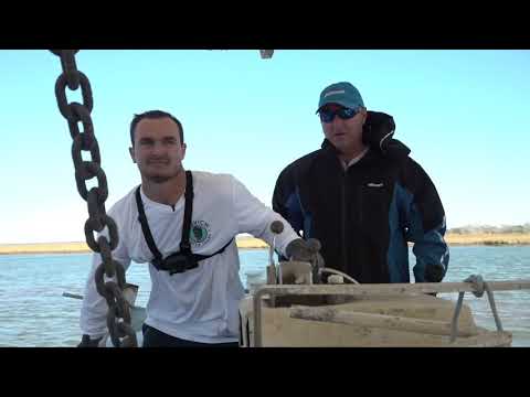 How Louisiana Oysters are Harvested