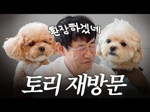 천재견 토리 앞에서 개망신당한 개버지 이경규
