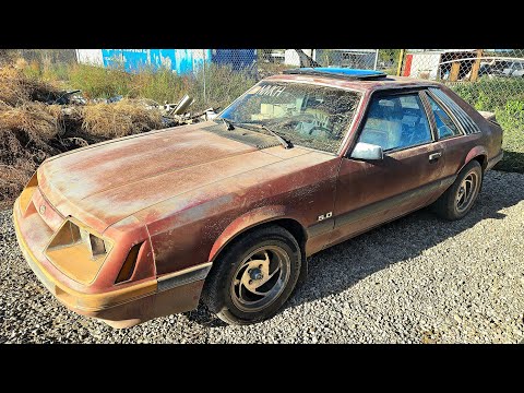 More "Gail The Snail" TLC / Buying A Mustang - NNKH