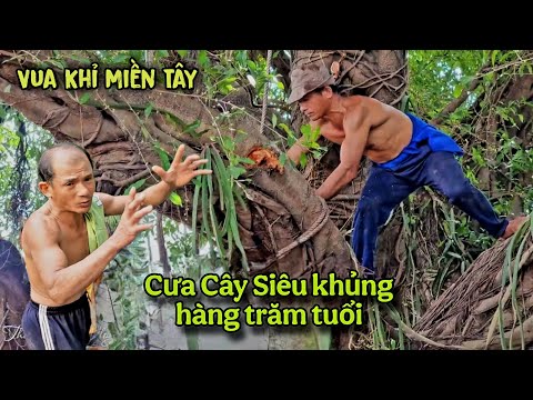 Chấn động! Thợ Cưa Địa Phương Bỏ Chạy Vua Khỉ Phải Đến Tận Nơi Cũng Đồng Nghiệp Mới Xử Lý Cây Này