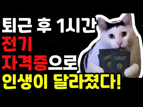 퇴근 후, 나는 전기기사 공부를 시작했다! 50대의 반전 인생기 (시설관리, 시설워크)