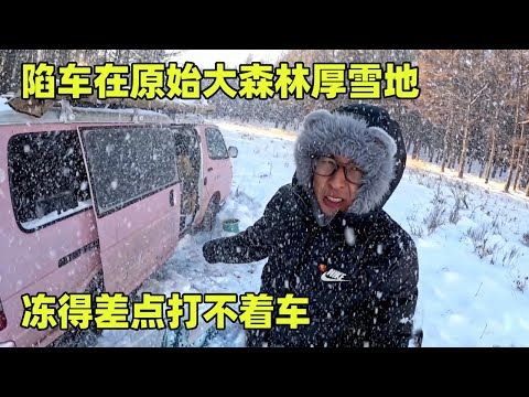 陷车在原始大森林三尺厚的雪地里，冻得差点打不着车，荒郊野岭如何自救？【小秃子旅行记】