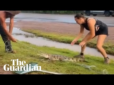 Local helps remove croc outside NT bottle shop during school drop off