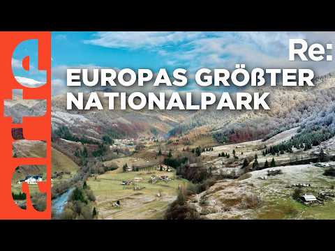 Europas größter Nationalpark in den Karpaten? | ARTE Re: