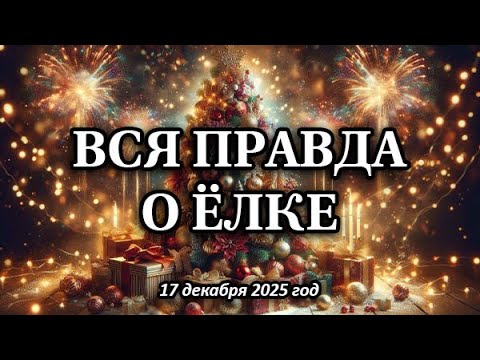 ВСЯ ПРАВДА О НОВОГОДНЕЙ ЁЛКЕ (17 декабря 2025 г.)