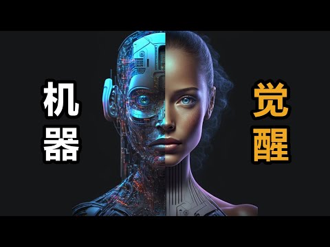 大问题：如何让AI具有意识？