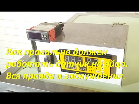 Датчик на яйцо. Как он должен работать правильно.