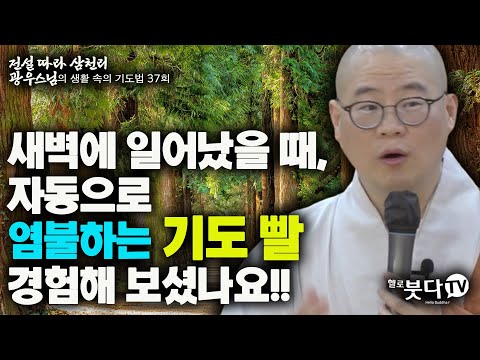 새벽에 일어났을 때 자동으로 염불하는 기도빨 경험해 보셨나요 | 전설 따라 삼천리 광우스님의 생활 속의 기도법 37회 | 기도 소원성취 인생