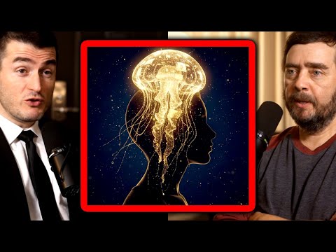 Memories and ideas are living organisms | Michael Levin and Lex Fridman