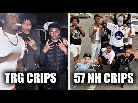 Trouble Gangster Crips vs. 57 Neighborhood Crips | The Bloody War in South L.A.