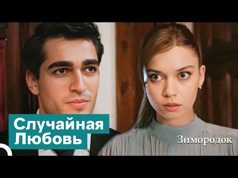 Страстное Начало Любви, Зародившейся с Ненависти | Зимородок