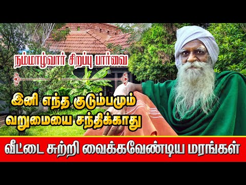 பசுமை வீடு அமைப்பது எப்படி? | Ko #Nammalvar #Agriculture | #Vanagam | Tamil | #Meyyiyal