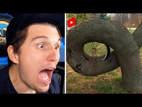 Paluten guckt Shorts bis die Zeit alles verändert