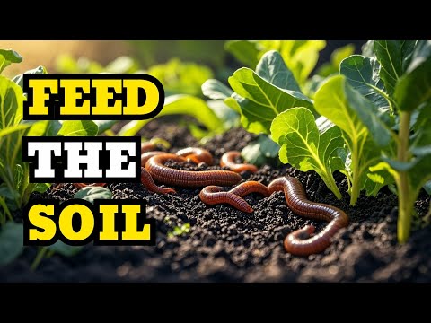 Bury This in Your Garden and Watch Earthworms Multiply Like Crazy