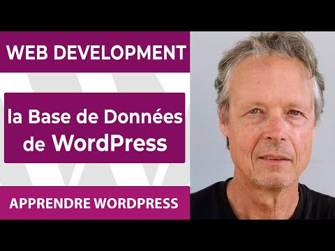 WORDPRESS AND DATABASES: How does it work?