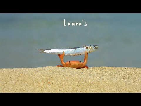 𝐏𝐥𝐚𝐲𝐥𝐢𝐬𝐭 미친 도입부 ❤️ 몽글몽글한 감성, 적당히 신나는 청량한 플레이리스트 🎶✨