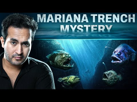 Why NO SCIENTIST wants to go back inside The Mariana Trench