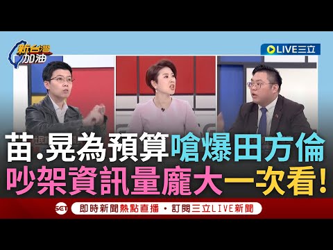 一刀未剪|這集吵架資訊量太龐大! 田方倫酸綠好棒「全當橡皮圖章」遭眾人圍攻 鍾年晃爆氣怒嗆! 苗博雅神舉例酸田解析預算:人送進立院耳鼻被割了還讚有瘦3公斤|焦點人物大現場20250123|三立新聞台