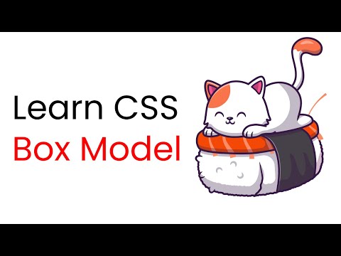 Learn CSS Box model with Examples ✨ || CSS 2021