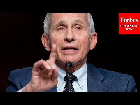 Dr. Fauci Got Caught With His Hand 'In The Cookie Jar': GOP Lawmaker