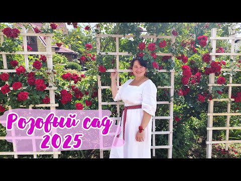 25 сортов самых ШИКАРНЫХ РОЗ!