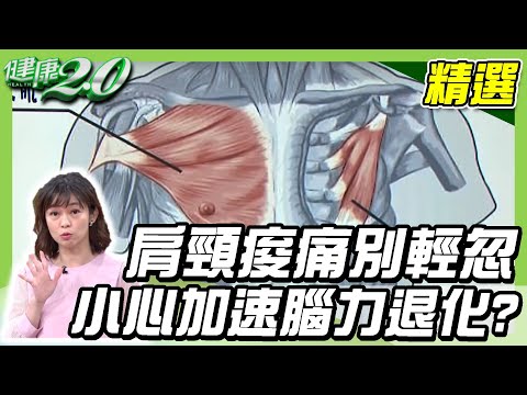 肩頸痠痛別輕忽，小心加速腦力退化？不花錢的舒緩痠痛秘方告訴你！【健康2.0精選】