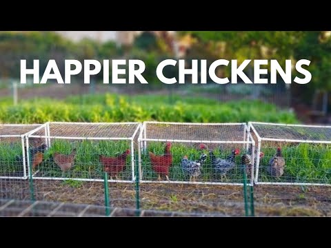 The Beginners Guide to Small Scale Backyard Pastured Poultry