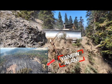 CAT D7 BULLDOZER _orman yangını _forest fire