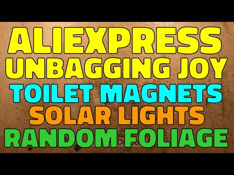 Yet another portion of AliExpress unbagging joy