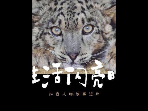 第三期｜生于西野：在西野，生命是方舟。游向彼此，也创造希望。@西宁野生动物园  #生活闪亮时2025#抖音人物故事#中国夏都#雪豹之都