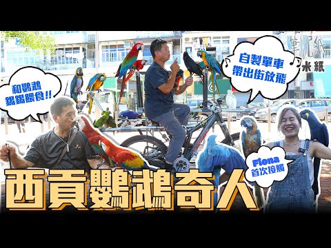 #米紙｜七旬叔叔為鸚鵡搬入西貢深山 收養全港最多金剛鸚鵡 日花一半時間照顧20隻鸚鵡 自砌單車改裝貨車帶出街放飛 以嘴餵食增親密關係 鸚鵡平均壽命80歲：我一定睇唔到佢哋終老 #筆記紙