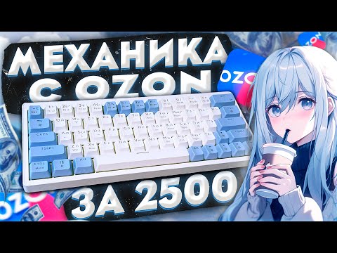 НЕАКТУАЛЬНО в 2025 \\\🤑МЕХАНИЧЕСКАЯ КЛАВИАТУРА С OZON ЗА 2500 РУБ