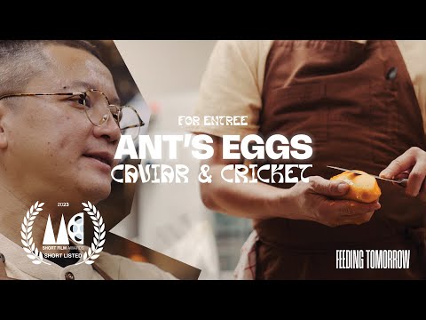 How Chef Num incorporates Insects & Fermentation into Modern Thai Cuisine | Feeding Tomorrow
