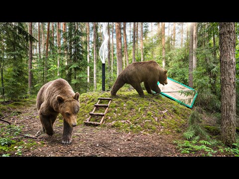 The Day Bears Almost Killed Me - My Underground House Saved My life!
