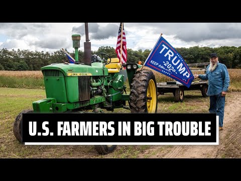 Trump Tariffs Wrecked U.S. Farmers, Now He's Throwing $12 Billion at Them