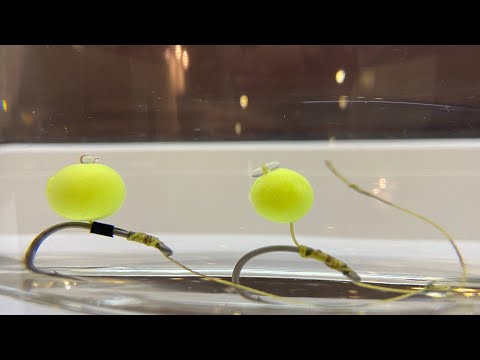 The most effective leash