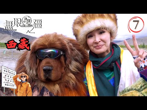 中國西藏旅遊 : 無窮之路3無垠之疆 #07 | 陳貝兒 | 粵語中字 | TVB 2023