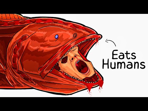 Why it Sucks To Be Born As a Whalefish