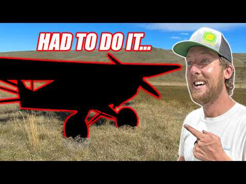 You Won't Believe Why I Bought This...